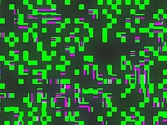 Ele esta pronto para a esporada